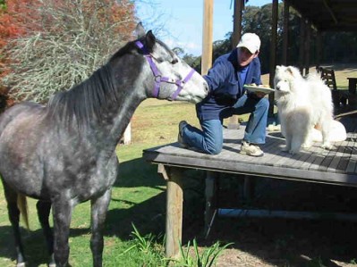Man from Kangaroo Valley Trail Ride kangaroo valley
