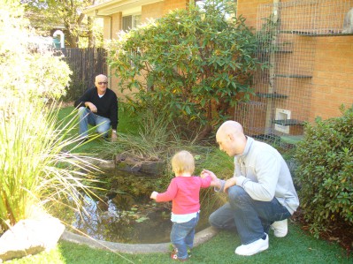 Grevillea Lodge Canberra