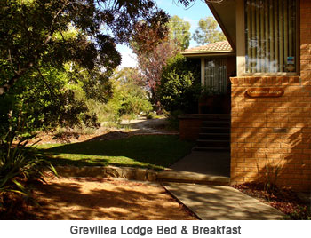 Grevillea Lodge Canberra