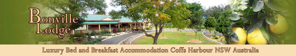 Bonville Lodge Luxury Bed and Breakfast Coffs Harbour
