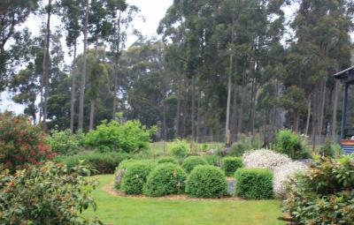 Love Grove Guest House Devonport