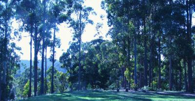 Love Grove Guest House Devonport