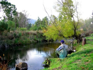Crabtree River Cottages Hobart