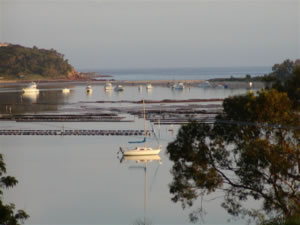 Penguin Mews Merimbula