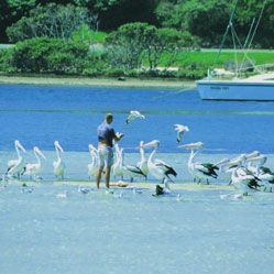 South Seas Motel & Apartments Merimbula