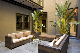 Vulcan Hotel Sydney sydney