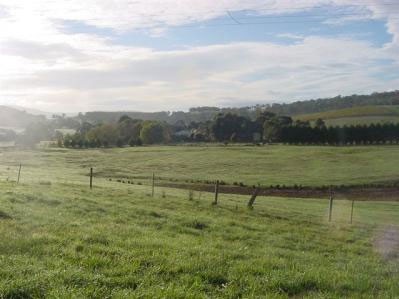 Holly Lane Mews Yarra Valley